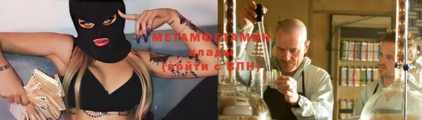 прущие грибы Вязники