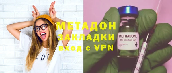 прущие грибы Вязники