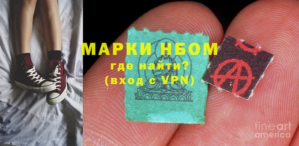 прущие грибы Вязники