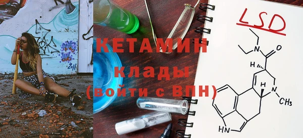 прущие грибы Вязники