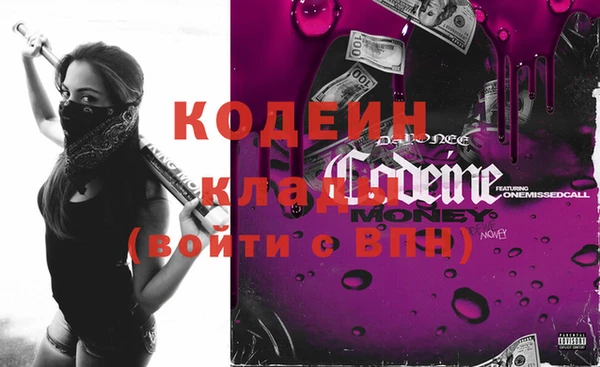 прущие грибы Вязники