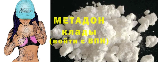 прущие грибы Вязники