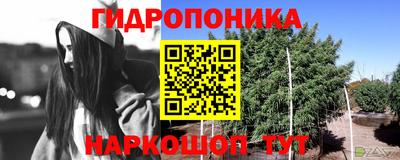 твердый Гусиноозёрск